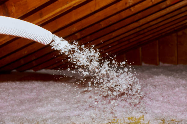 Professional Insulation Contractor in Christmas, FL