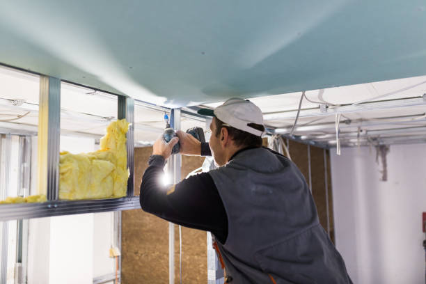 Best Specialized Insulation Services in Christmas, FL