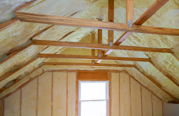 Best Cellulose Insulation in Christmas, FL