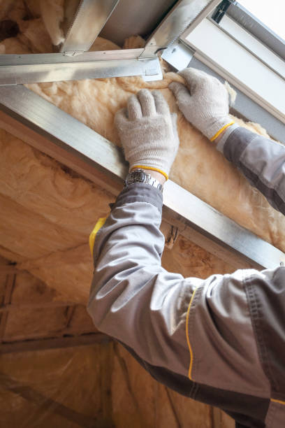 Best Eco-Friendly Insulation in Christmas, FL