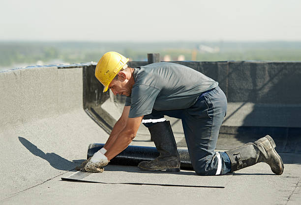 Best Insulation Maintenance and Repair in Christmas, FL