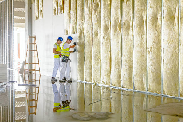 Types of Insulation We Offer in Christmas, FL